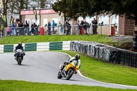 Lower Group Yellow Bikes